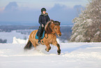 rider on Icelandic horse
