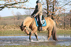 woman rides Icelandic horse