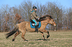 woman rides Icelandic horse