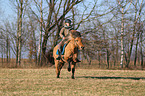woman rides Icelandic horse