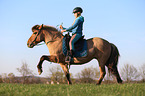 woman rides Icelandic horse
