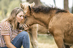 Icelandic horse foals