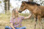 Icelandic horse foal
