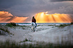 woman and Icelandic horse