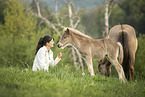 Icelandic horses