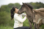 2 Icelandic horse foals