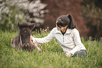 Icelandic horse foal