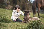 Icelandic horses