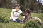 Icelandic horse foal