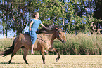 Icelandic horse