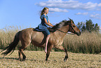 Icelandic horse