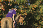 Icelandic horse