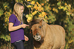 Icelandic horse