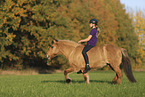 Icelandic horse