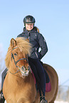 Icelandic horse