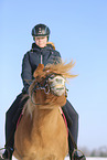 Icelandic horse