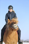 Icelandic horse