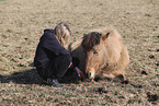 Icelandic horse