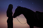 Icelandic horse