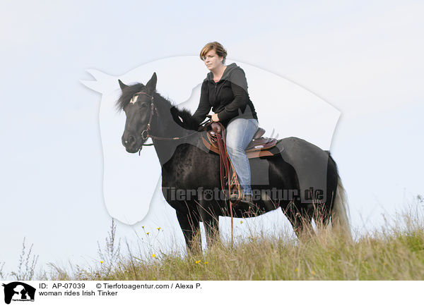 Frau reitet Irish Tinker / woman rides Irish Tinker / AP-07039