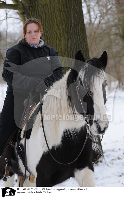 Frau reitet Irish Tinker / woman rides Irish Tinker / AP-07170