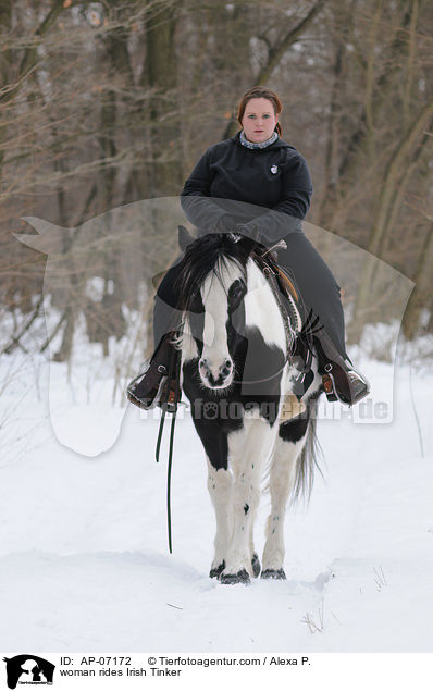 woman rides Irish Tinker / AP-07172