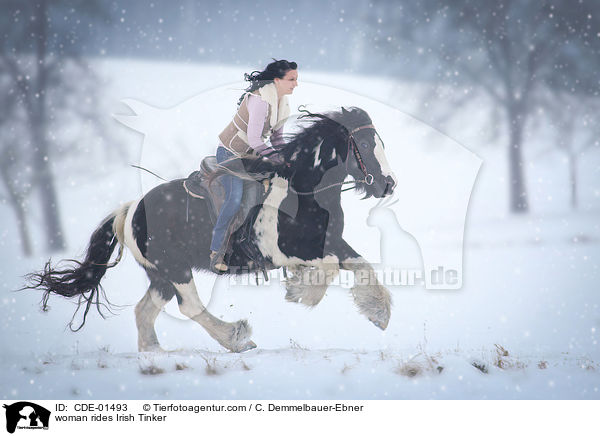 woman rides Irish Tinker / CDE-01493