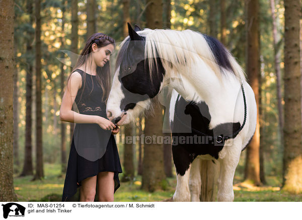 girl and Irish Tinker / MAS-01254