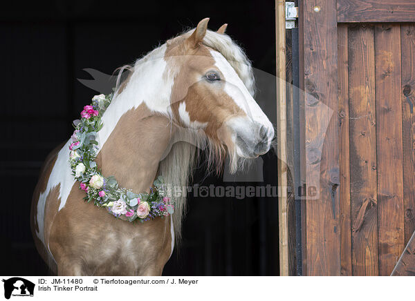 Irish Tinker Portrait / JM-11480