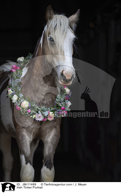 Irish Tinker Portrait / JM-11489