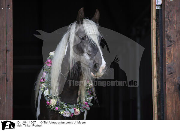 Irish Tinker Portrait / JM-11507