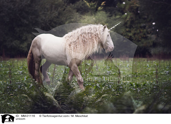 unicorn / MM-01116
