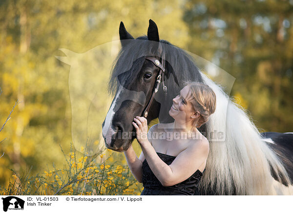 Irish Tinker / Irish Tinker / VL-01503