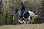 Irish Tinker