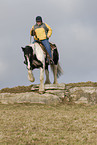 Irish Tinker