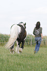 woman and Irish Tinker