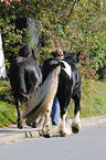 woman with Irish Tinker
