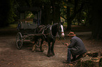 man and Irish Tinker
