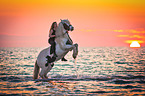 woman rides Irish Tinker