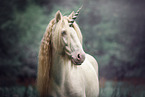 unicorn