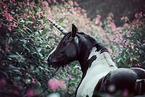 unicorn