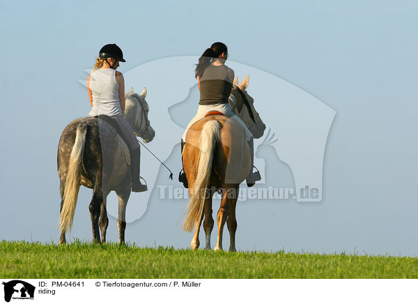 Ausritt / riding / PM-04641
