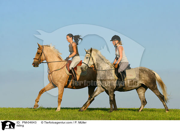 riding / PM-04643
