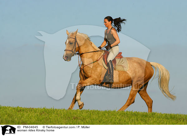 Frau reitet Kinsky-Pferd / woman rides Kinsky horse / PM-04645