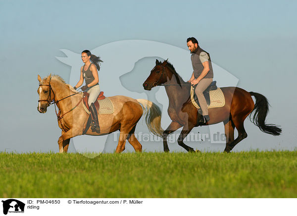 Ausritt / riding / PM-04650