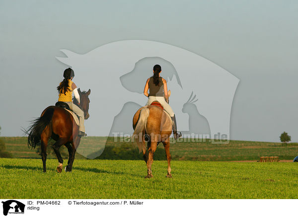 Ausritt / riding / PM-04662