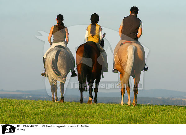 Ausritt / riding / PM-04672