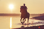 woman rides knabstrup horse