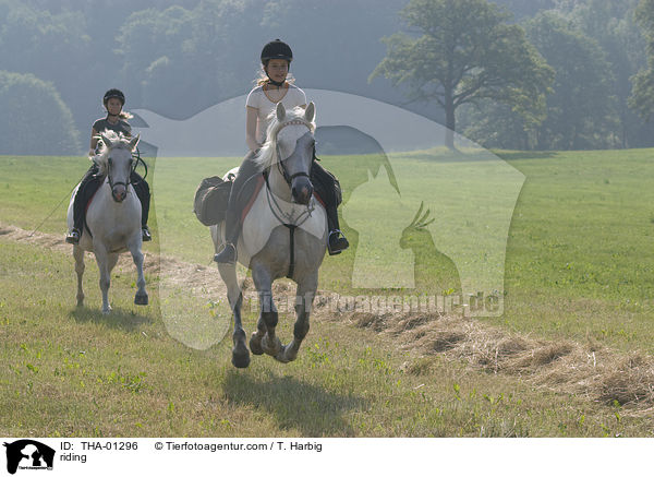 Freizeitreiten / riding / THA-01296