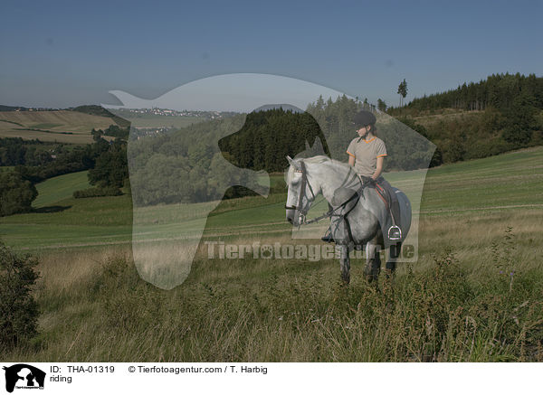 Freizeitreiten / riding / THA-01319